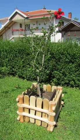 Žardinjere od drveta