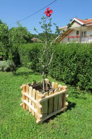 Žardinjere od drveta